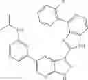 Fig. 71 - 3-(1H-imidazo[4,5-C]pyridin-2-YL)-1H-pyrazolo[3,4-B]pyridine and therapeutic uses thereof