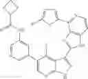 Fig. 781 - 3-(1H-imidazo[4,5-C]pyridin-2-YL)-1H-pyrazolo[3,4-B]pyridine and therapeutic uses thereof