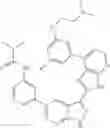 Fig. 1256 - 3-(3H-imidazo[4,5-B]pyridin-2-yl)-1H-pyrazolo[3,4-B]pyridine and therapeutic uses thereof