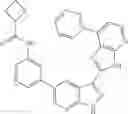 Fig. 141 - 3-(3H-imidazo[4,5-B]pyridin-2-yl)-1H-pyrazolo[3,4-B]pyridine and therapeutic uses thereof