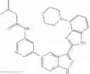 Fig. 149 - 3-(3H-imidazo[4,5-B]pyridin-2-yl)-1H-pyrazolo[3,4-B]pyridine and therapeutic uses thereof