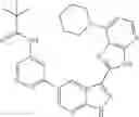 Fig. 155 - 3-(3H-imidazo[4,5-B]pyridin-2-yl)-1H-pyrazolo[3,4-B]pyridine and therapeutic uses thereof