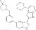 Fig. 172 - 3-(3H-imidazo[4,5-B]pyridin-2-yl)-1H-pyrazolo[3,4-B]pyridine and therapeutic uses thereof