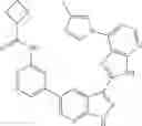 Fig. 192 - 3-(3H-imidazo[4,5-B]pyridin-2-yl)-1H-pyrazolo[3,4-B]pyridine and therapeutic uses thereof
