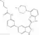Fig. 216 - 3-(3H-imidazo[4,5-B]pyridin-2-yl)-1H-pyrazolo[3,4-B]pyridine and therapeutic uses thereof