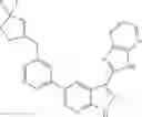 Fig. 246 - 3-(3H-imidazo[4,5-B]pyridin-2-yl)-1H-pyrazolo[3,4-B]pyridine and therapeutic uses thereof
