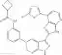 Fig. 345 - 3-(3H-imidazo[4,5-B]pyridin-2-yl)-1H-pyrazolo[3,4-B]pyridine and therapeutic uses thereof