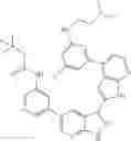 Fig. 445 - 3-(3H-imidazo[4,5-B]pyridin-2-yl)-1H-pyrazolo[3,4-B]pyridine and therapeutic uses thereof