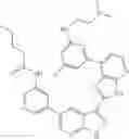 Fig. 447 - 3-(3H-imidazo[4,5-B]pyridin-2-yl)-1H-pyrazolo[3,4-B]pyridine and therapeutic uses thereof