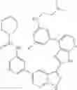 Fig. 451 - 3-(3H-imidazo[4,5-B]pyridin-2-yl)-1H-pyrazolo[3,4-B]pyridine and therapeutic uses thereof