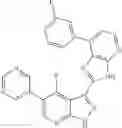 Fig. 481 - 3-(3H-imidazo[4,5-B]pyridin-2-yl)-1H-pyrazolo[3,4-B]pyridine and therapeutic uses thereof