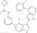 Fig. 527 - 3-(3H-imidazo[4,5-B]pyridin-2-yl)-1H-pyrazolo[3,4-B]pyridine and therapeutic uses thereof
