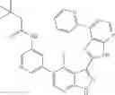 Fig. 601 - 3-(3H-imidazo[4,5-B]pyridin-2-yl)-1H-pyrazolo[3,4-B]pyridine and therapeutic uses thereof