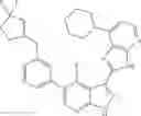 Fig. 636 - 3-(3H-imidazo[4,5-B]pyridin-2-yl)-1H-pyrazolo[3,4-B]pyridine and therapeutic uses thereof