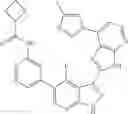Fig. 657 - 3-(3H-imidazo[4,5-B]pyridin-2-yl)-1H-pyrazolo[3,4-B]pyridine and therapeutic uses thereof