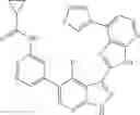 Fig. 734 - 3-(3H-imidazo[4,5-B]pyridin-2-yl)-1H-pyrazolo[3,4-B]pyridine and therapeutic uses thereof
