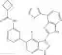 Fig. 787 - 3-(3H-imidazo[4,5-B]pyridin-2-yl)-1H-pyrazolo[3,4-B]pyridine and therapeutic uses thereof