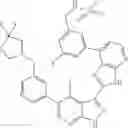 Fig. 896 - 3-(3H-imidazo[4,5-B]pyridin-2-yl)-1H-pyrazolo[3,4-B]pyridine and therapeutic uses thereof