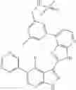 Fig. 897 - 3-(3H-imidazo[4,5-B]pyridin-2-yl)-1H-pyrazolo[3,4-B]pyridine and therapeutic uses thereof