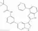 Fig. 94 - 3-(3H-imidazo[4,5-B]pyridin-2-yl)-1H-pyrazolo[3,4-B]pyridine and therapeutic uses thereof