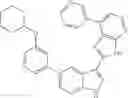 Fig. 984 - 3-(3H-imidazo[4,5-B]pyridin-2-yl)-1H-pyrazolo[3,4-B]pyridine and therapeutic uses thereof