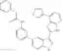 Fig. 303 - 3-(3H-imidazo[4,5-B]pyridin-2-yl)-1H-pyrazolo[3,4-C]pyridine and therapeutic uses thereof