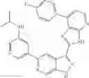 Fig. 45 - 3-(3H-imidazo[4,5-B]pyridin-2-yl)-1H-pyrazolo[3,4-C]pyridine and therapeutic uses thereof