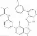 Fig. 484 - 3-(3H-imidazo[4,5-B]pyridin-2-yl)-1H-pyrazolo[3,4-C]pyridine and therapeutic uses thereof