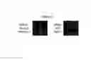 Fig. 15 - Platinum compounds, compositions, and uses thereof