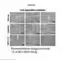 Fig. 25 - Platinum compounds, compositions, and uses thereof