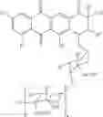 Fig. 05 - Anticancer agents of the anthracyclin family