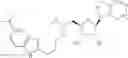 Fig. 313 - Modulators of Histone Methyltransferase, and Methods of Use Thereof