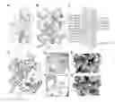 Fig. 01 - Compositions and methods for altering second messenger signaling