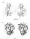 Fig. 10 - Compositions and methods for altering second messenger signaling