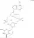 Fig. 25 - Compositions and methods for altering second messenger signaling