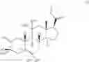 Fig. 212 - 19-NOR NEUROACTIVE STEROIDS AND METHODS OF USE THEREOF