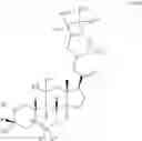 Fig. 28 - 19-NOR NEUROACTIVE STEROIDS AND METHODS OF USE THEREOF