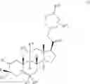 Fig. 29 - 19-NOR NEUROACTIVE STEROIDS AND METHODS OF USE THEREOF