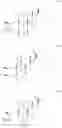 Fig. 32 - 19-NOR NEUROACTIVE STEROIDS AND METHODS OF USE THEREOF