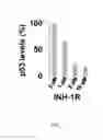 Fig. 08 - Structure-based peptide inhibitors of P53 aggregation as a new approach to cancer therapeutics