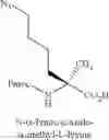 Fig. 49 - PEPTIDOMIMETIC MACROCYCLES
