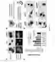 Fig. 04 - Modified proteins and methods of use thereof