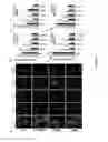 Fig. 05 - Modified proteins and methods of use thereof