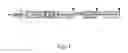 Fig. 02 - Recombinant baculovirus vector and uses thereof