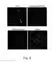 Fig. 07 - Recombinant baculovirus vector and uses thereof
