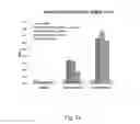 Fig. 08 - Recombinant baculovirus vector and uses thereof