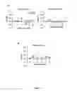 Fig. 08 - COMPOSITIONS AND METHODS FOR TREATMENT OF TYPE 1 DIABETES