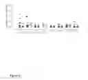 Fig. 09 - COMPOSITIONS AND METHODS FOR TREATMENT OF TYPE 1 DIABETES