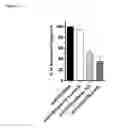 Fig. 19 - PD-1 antibodies