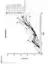 Fig. 22 - PD-1 antibodies